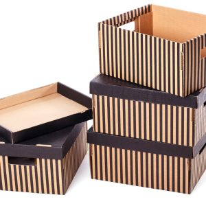 Precision-engineered die-cut cartons and trays
